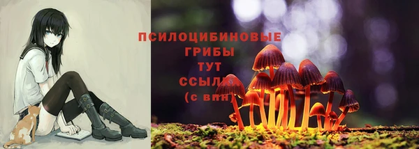 гидра Корсаков