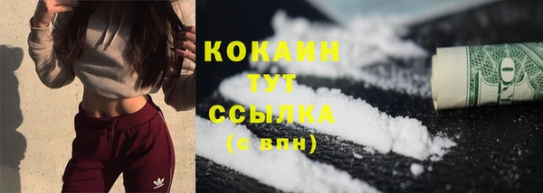 гидра Корсаков