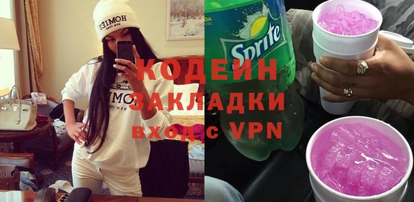 гидра Корсаков