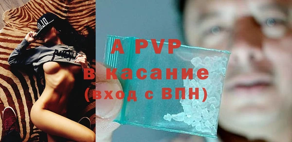 молекула духа Пересвет