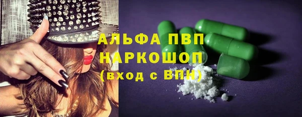 гидра Корсаков