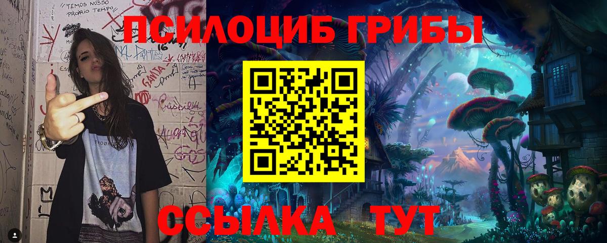 Псилоцибиновые грибы мицелий Сызрань